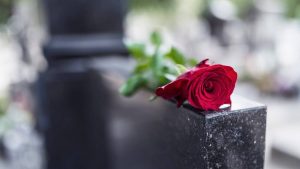 rose on a grave stone